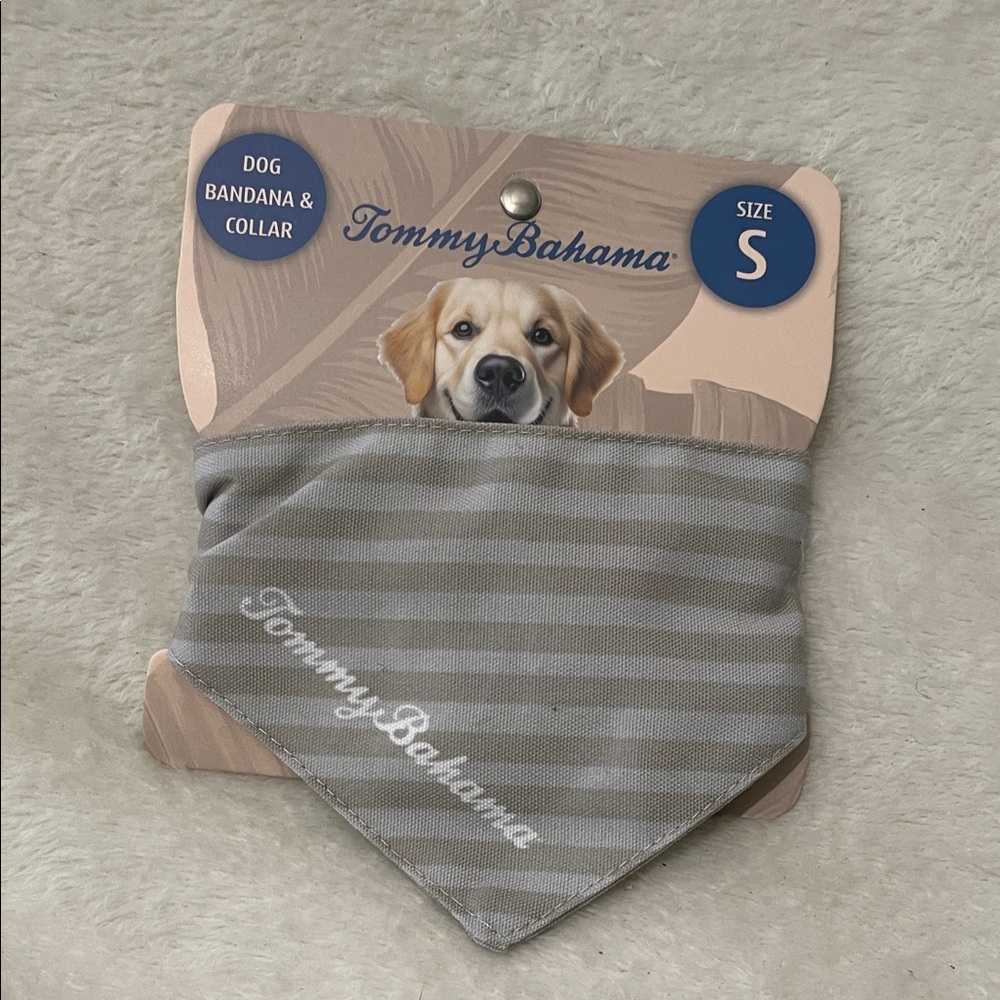 Tommy Bahama Striped Gray Dog Bandana & Collar